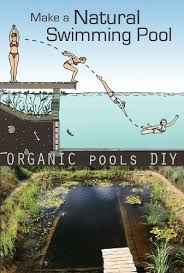 Make A Natural Swimming Pool Full Length Movie By David Pagan Butler Digital Market Forum At Diy Swimming Pool Natural Swimming Pools Natural Swimming Pool