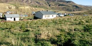 Kangal Bahceliyurt Koyu