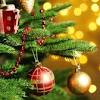 Ucapan natal bahasa jawa whatsapp. 3