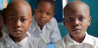 PROJECT YEAR FIVE ANNUAL REPORT