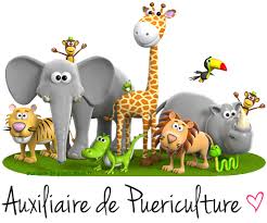 Fiches De Culture Generale Sanitaire Et Sociale Auxiliaire De Puericulture Puericulture Auxiliaire De Puericulture Concours