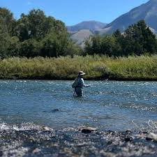 Profile for Carla Lemon