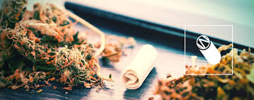 How To Make A Perfect Joint Filter Zamnesia Blog