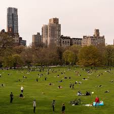 Central park is an urban park in new york city located between the upper west and upper east sides of manhattan. Single Day Death Toll In N Y Dips Below 500 The New York Times