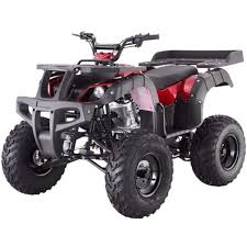 Taotao 250 Rhino Adult Utility Atv