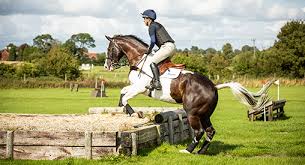 Eventing is an exhilarating competition that requires agility and discipline in a horse, combining dressage, cross country jumping, and show jumping. Cross Country Horse Riding Horse Riding Tips Petplan Equine