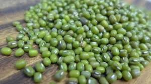 Jangan lupa rendam kacang hijau. Permintaan Tinggi Produksi Benih Kacang Hijau Nasional Terus Digenjot Tribunnews Com Mobile