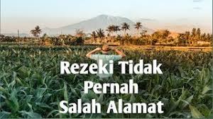 Pinggan tak retak nasi tak dingin raya telefilem. Rezeki Tidak Pernah Salah Alamat Motivasi Youtube