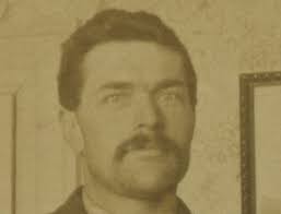 Christmas Bird Count Edition Édition sur le Recensement des oiseaux de Noël