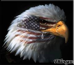 Where The Eagles Cry Bald Eagle American Bald Eagle Eagle Wallpaper