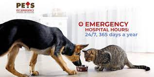 Our outpatient setting allows us to provide a patient care model that is time efficient and cost effective. Home Pet Emergency Treatment And Specialties