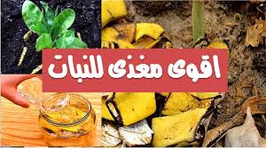 لن ترمي قشور الموز بعد اليوم Make It Yourself