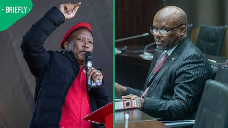 Julius Malema explains absence during General Shadrack Sibiya's testimony, praises Leigh-Ann Mathys
