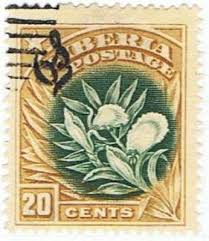 Image result for Aframomum polyanthum