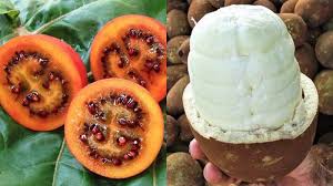 Inilah Beberapa Buah Aneh Dan Langka Yang Ada Di Dunia Rasanya Pun Tak Kalah Enaknya Sriwijaya Post