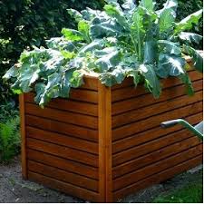 My husband and i have a very small backyard in an urban area, and we decided to build a raised garden bed along the fence using concrete pavers. Wooden Raised Vegetable Beds To Preserve Or Not To Preserve