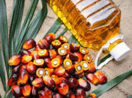 You can also choose from cold pressed, refined bio oil. Palm Oil Price Palm Oil Slips As Top Buyer India Halts Some Import Licenses The Economic Times