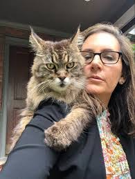 Heidi Roach's Instagram, Twitter & Facebook