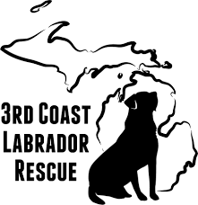 These puppies should be ready to go to their new homes tentatively march 2021. Pets For Adoption At 3rd Coast Labrador Rescue In Waterford Mi Petfinder