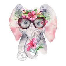 Why Fit In When You Were Born To Stand Out Elephant Sublimation Download Sublimation Design Dtg Printing Sublimation Design Download Nursery Printable Elephant Nursery Printables Photoshop Elements Basic Photo Editing