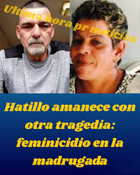 Gavetero de seis gavetas y plataforma twin usados. Se regala mattress.