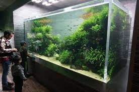 Takashi Amano 39 S Floor In Sumida Aquarium Tokyo Imgur Takashi Amano Aquarium Amazing Aquariums