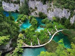 Wer nach kroatien reist, besucht vorrangig dalmatien und die küstenstädte split und dubrovnik. Flora In Kroatien