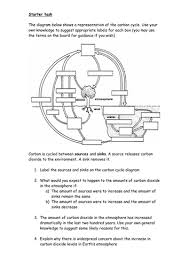 Teacher will review the protocol for the teacher. Carbon Cycle Review Teaching Resources