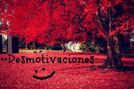Check spelling or type a new query. Desmotivaciones Startseite Facebook