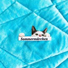 Hallo wir haben katzennachwuchs bekommen. Weltmeisterschaftsdesinteresse Instagram Posts Photos And Videos Picuki Com