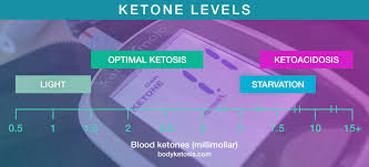 Matter Of Fact Blood Ketone Meter Chart 2019