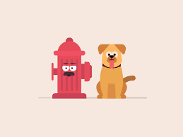 Dog Animal Pets Framesequence New Gif On Giphy Dog Pet Petrescue Motion Design Animation Motion Graphics Inspiration Motion