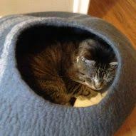 Depending on what treatment route you take, here are some tips on how to. How Long Will My Cat Live With Liver Cancer Cancer In Cats Wikipedia The Shunt Is A Blood Vessel That Bypasses The Liver Which Is Present In The Fetus But
