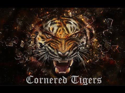 images?q=tbn:ANd9GcTU0KTQM9tNtogSd6u5LKx
