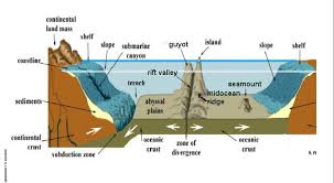 Ocean Floor Features Worksheet Free Worksheets Library Download Earth And Space Science Ocean Ocean Diagram