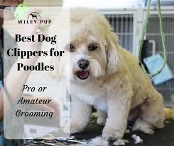 Best Dog Clippers For Poodles 2019 Edition Easy Grooming Wileypup Com