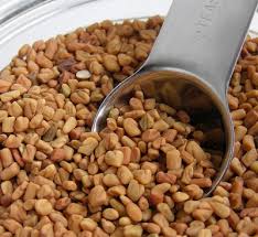 Dilarang mengkonsumsi biji halba diawal masa kehamilan!. Cara Alami Memperbesar Payudara Dengan Fenugreek Hidup Sehat Dengan Produk Herbal