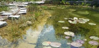 Im jahr 2002 umzug nach grötzingen im brühl, unsere jetzige adresse. Seydell Garten Und Landschaftsbau In Karlsruhe Natur Pool Schwimmteich Landschaftsbau