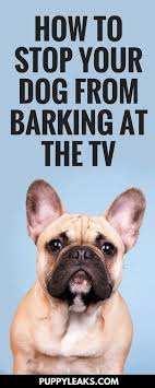 How I Stopped My Dog From Barking At The Tv Puppy Leaks Stop Dog Barking Aggressive Dog Training Your Puppy