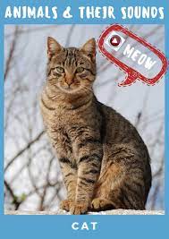 Pin On 1 Anglina
