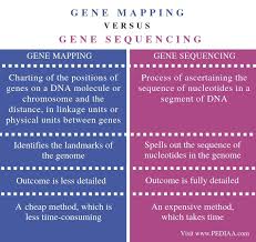 What Is The Difference Between Gene Mapping And Gene Sequencing Pediaa Com