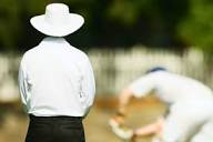 মৌমাছির কামড়ে প্রাণ গেল আম্পায়ারের|1218704| Bangladesh Pratidin