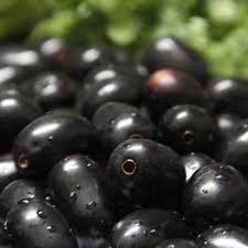 More commonly known as black plum, it may also be called jambul, java plum or jamblang, depending on where you are in the world. Buy Jamun Black Berry Plant Online At Cheap Price On Plantsguru Com