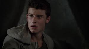 The singer actually started out as a fan of the 100, just like the rest of us, expressing. Macallan Shawn Mendes Wiki Fandom