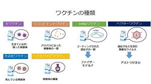 ワクチンの種類 遺伝子ワクチン mrnaワクチン dnaワクチン ウイルス・ベクター・ワクチン プロテイン・ベース・ワクチン 組み換えタンパク質ワクチン 不活性化ワクチン 生ワクチン 不活性化ワクチン. æ–°åž‹ã‚³ãƒ­ãƒŠãƒ¯ã‚¯ãƒãƒ³ã®åŠ¹æžœã¨å®‰å…¨æ€§ ã‚ã‹ã—å†…ç§'ã‚¯ãƒªãƒ‹ãƒƒã‚¯