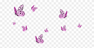 Pink transparent butterfly gif is a totally free png image with transparent background and its resolution is 566x450. Transparent Butterflies Png Image Seventeen Vernon Edit Gifs Free Transparent Png Clipart Images Download