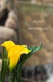 Pin By Omarathami On لمار Wonder Quotes Islam Facts Islamic Pictures