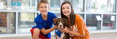 Maybe you would like to learn more about one of these? Animal Adoptions City Of Carrollton Tx