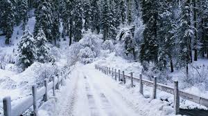 Snowy Snow Winter Trees Fence Path Nature Wallpaper Christmas Snow Background Real 1823868 Hd Wallpaper Backgrounds Download 28,088 transparent png illustrations and cipart matching snow. snowy snow winter trees fence path