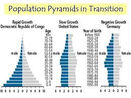 It typically forms the shape of a pyramid when the population is growing. Population Structure Objectives At The End Of This Lesson You Should Be Able To Interpret Population Pyramids For Mdcs And Ldcs Calculate Dependency Ppt Download